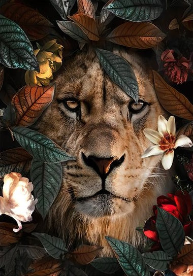 Animal Lion Peintures Par Numéros PBNLIONL63