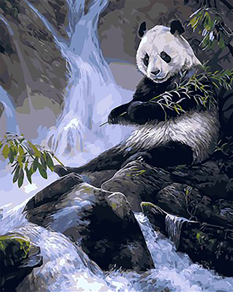Animal Panda Peintures Par Numéros PBNPANL26