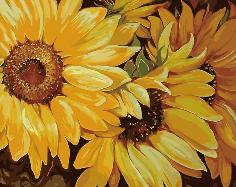 Plant Sunflower Paint By Numbers Canvas Wall Set PBNSUNW24