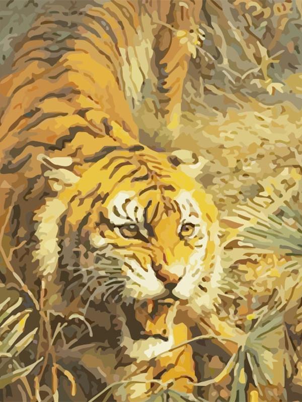Animal Tiger Paint By Numbers Canvas Wall Set PBNTIGL13