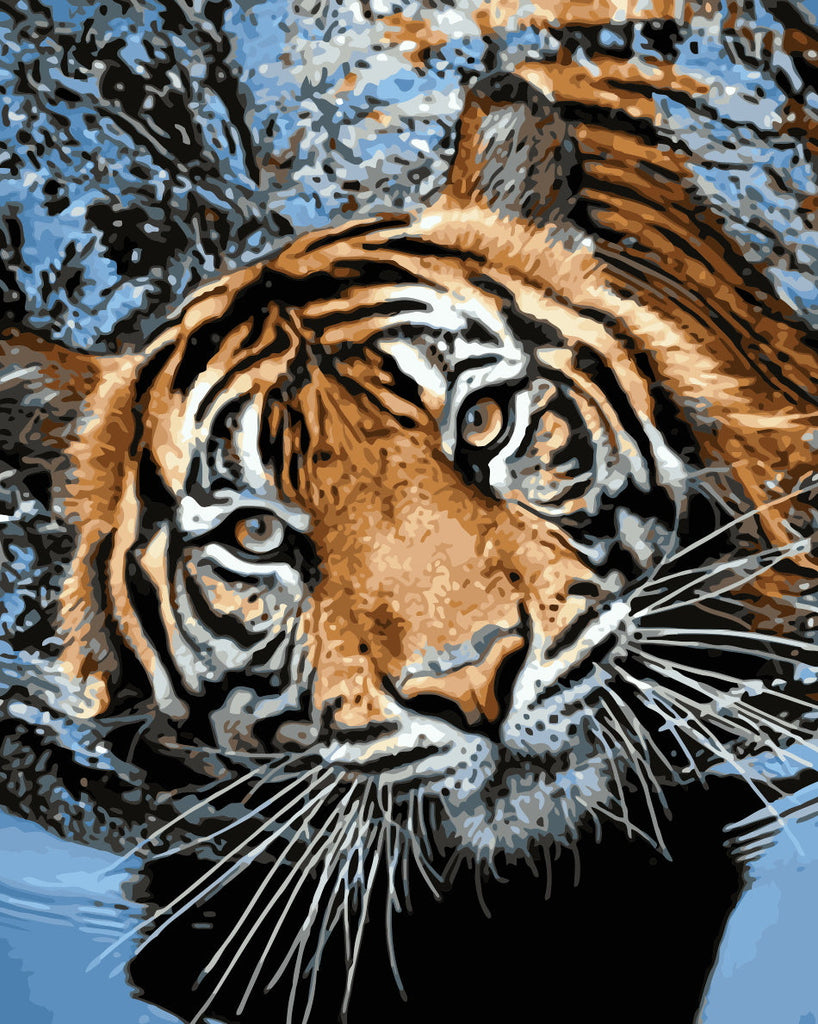 Animal Tigre Peintures Par Numéros PBNTIGL27