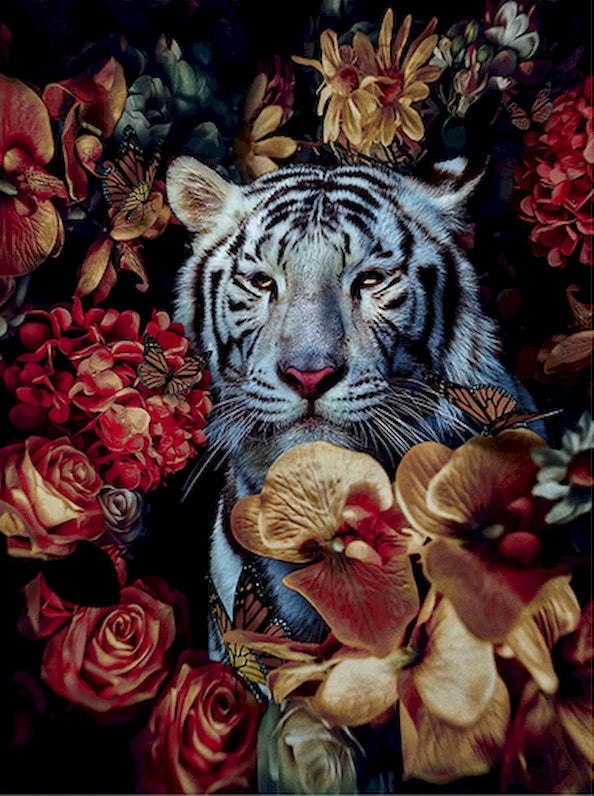 Animal Tigre Peintures Par Numéros PBNTIGL39