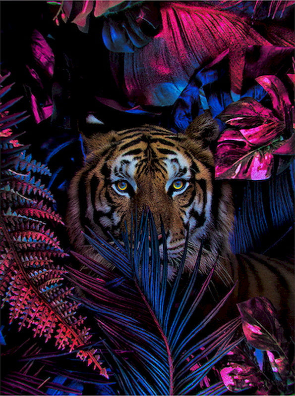 Animal Tigre Peintures Par Numéros PBNTIGL48