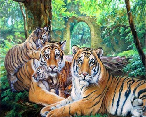 Animal Tiger Paint By Numbers Canvas Wall Set PBNTIGW12
