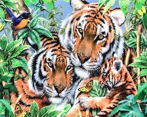 Animal Tiger Paint By Numbers Canvas Wall Set PBNTIGW2