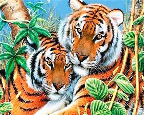 Animal Tiger Paint By Numbers Canvas Wall Set PBNTIGW3