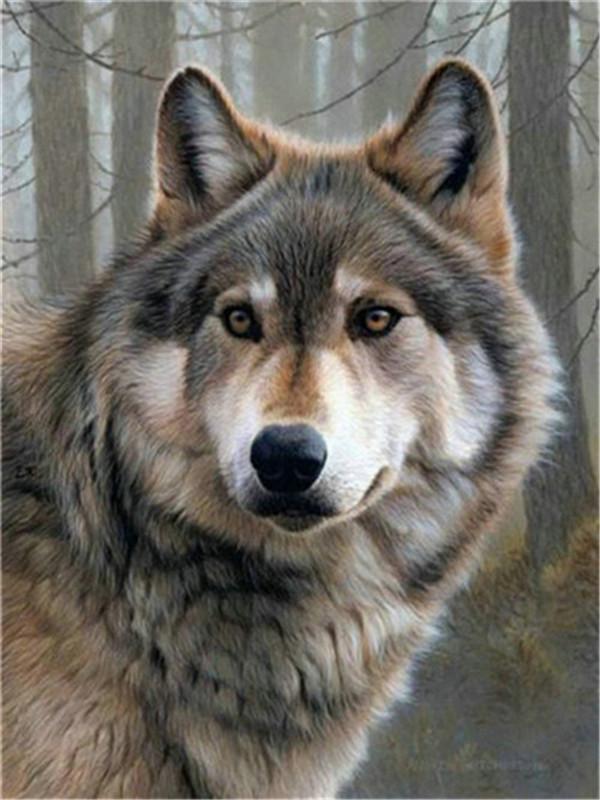 Animal Wolf Paint By Numbers Canvas Wall Set PBNWOLFL16