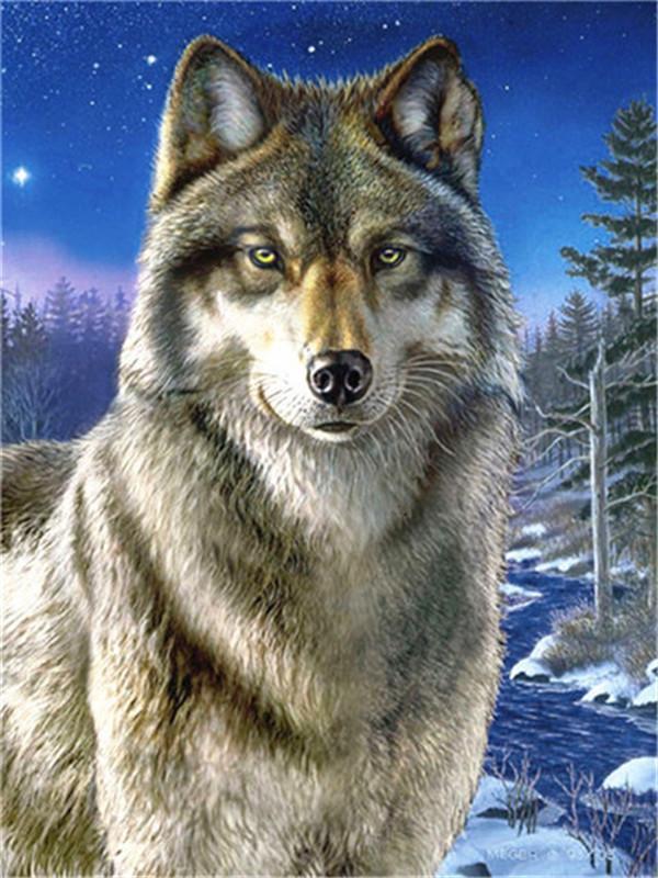 Animal Wolf Paint By Numbers Canvas Wall Set PBNWOLFL19