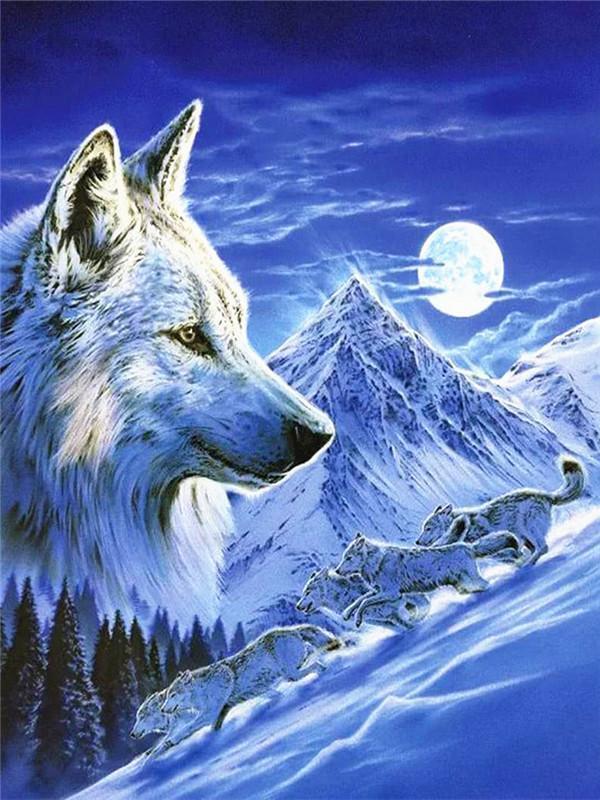 Animal Wolf Paint By Numbers Canvas Wall Set PBNWOLFL28