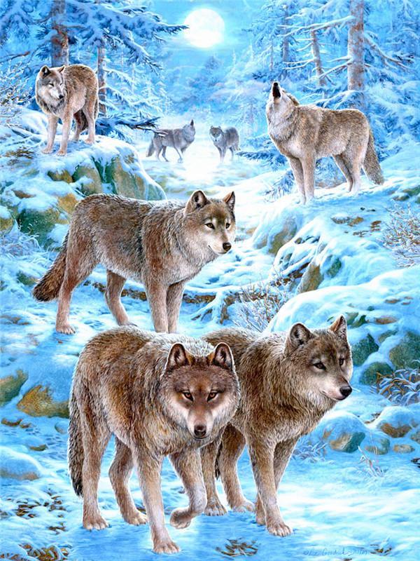 Animal Wolf Paint By Numbers Canvas Wall Set PBNWOLFL30