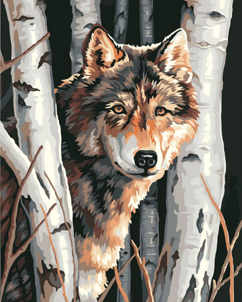 Animal Loup Peintures Par Numéros  PBNWOLFL77