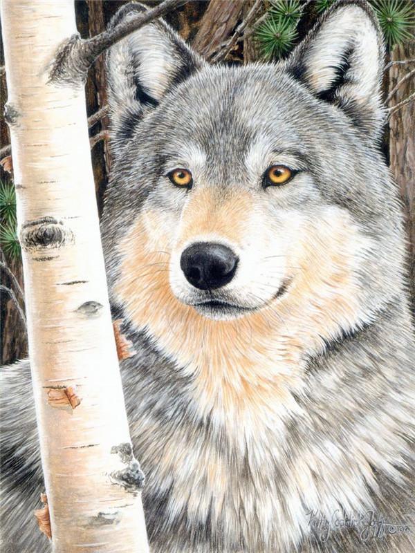 Animal Wolf Paint By Numbers Canvas Wall Set PBNWOLFL9
