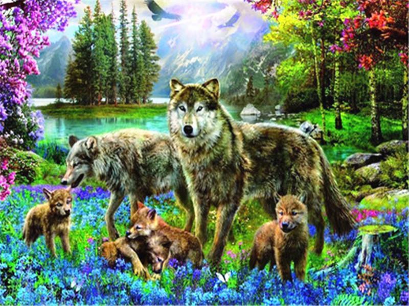 Animal Wolf By Numbers Canvas Wall Set PBNWOLFW11