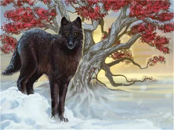 Animal Loup Peintures Par Numéros  PBNWOLFW29