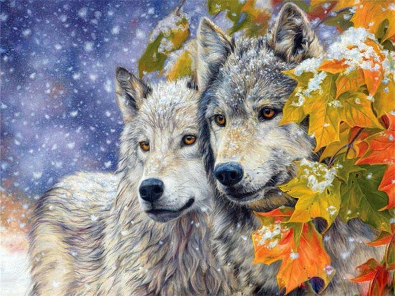 Animal Wolf By Numbers Canvas Wall Set PBNWOLFW4