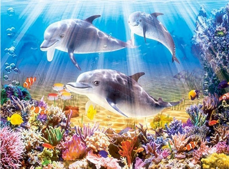 Adorables Dauphins Peinture par Numéros