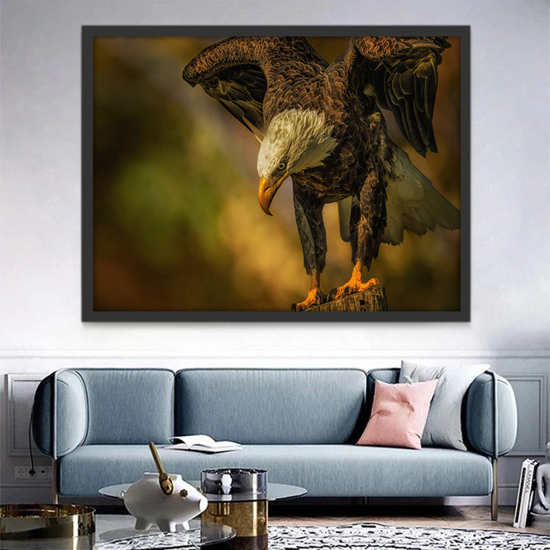 Aigle Intéressant Peinture par Numéros