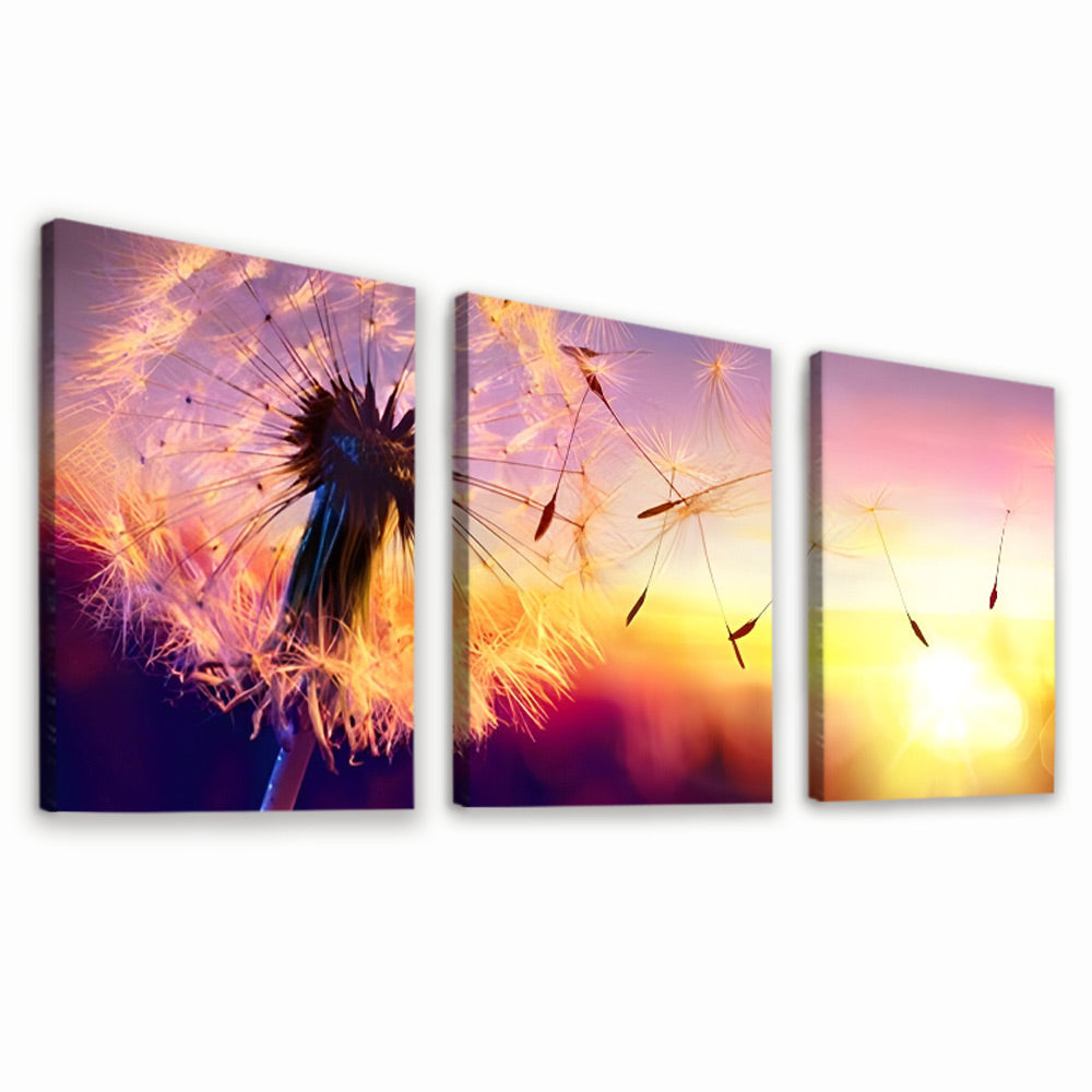 Aigrettes Volées de Pissenlit 3 Partie Peinture par Numéros