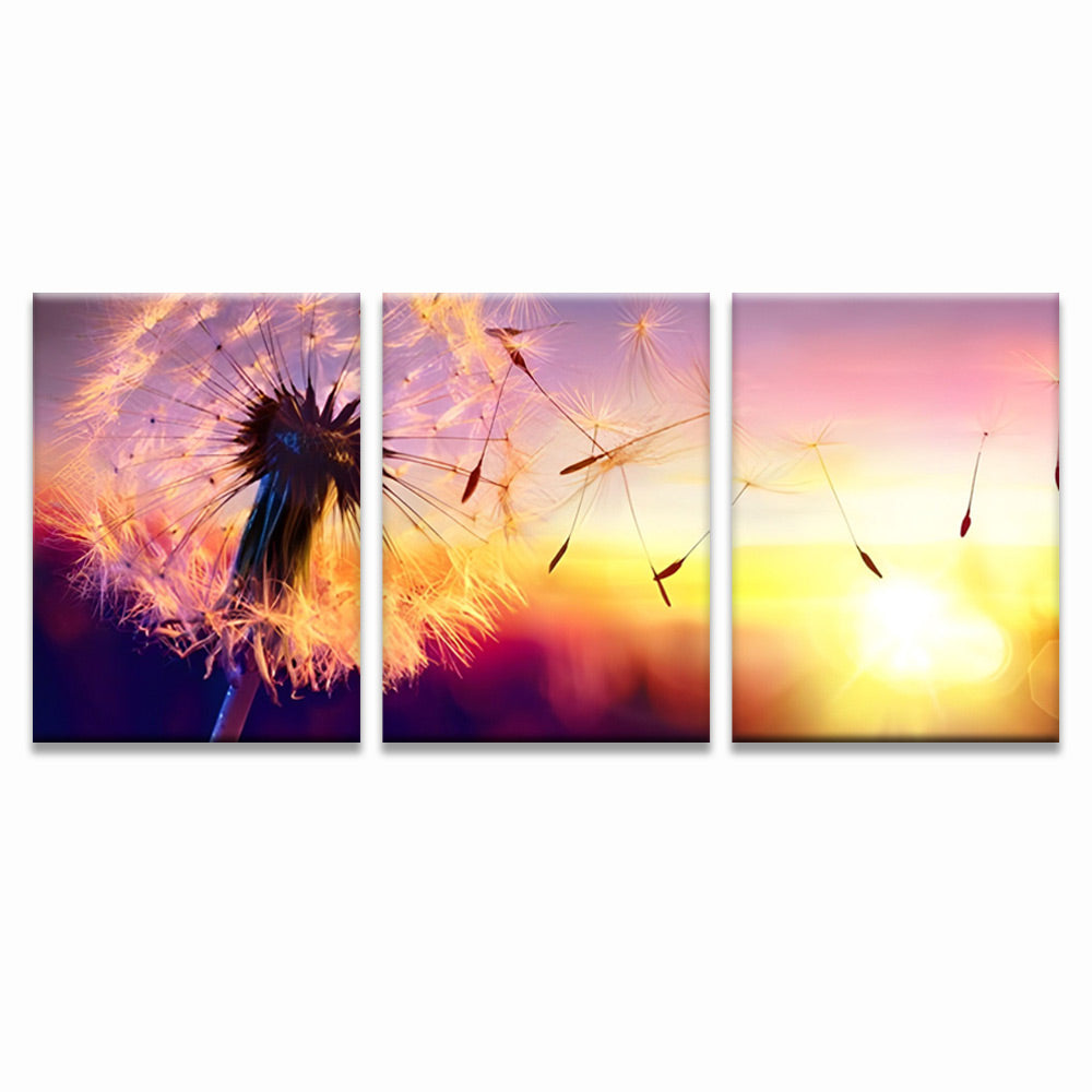 Aigrettes Volées de Pissenlit 3 Partie Peinture par Numéros