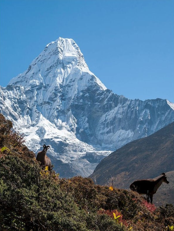 Ama Dablam Peinture par Numéros