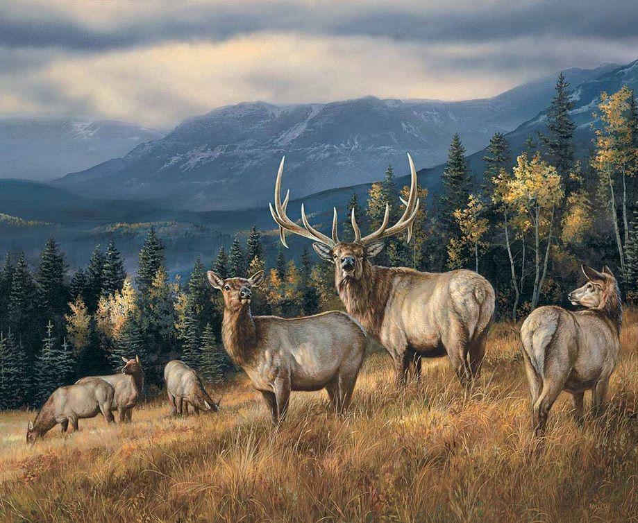 Animal Cerf et la Forêt Peinture par Numéros