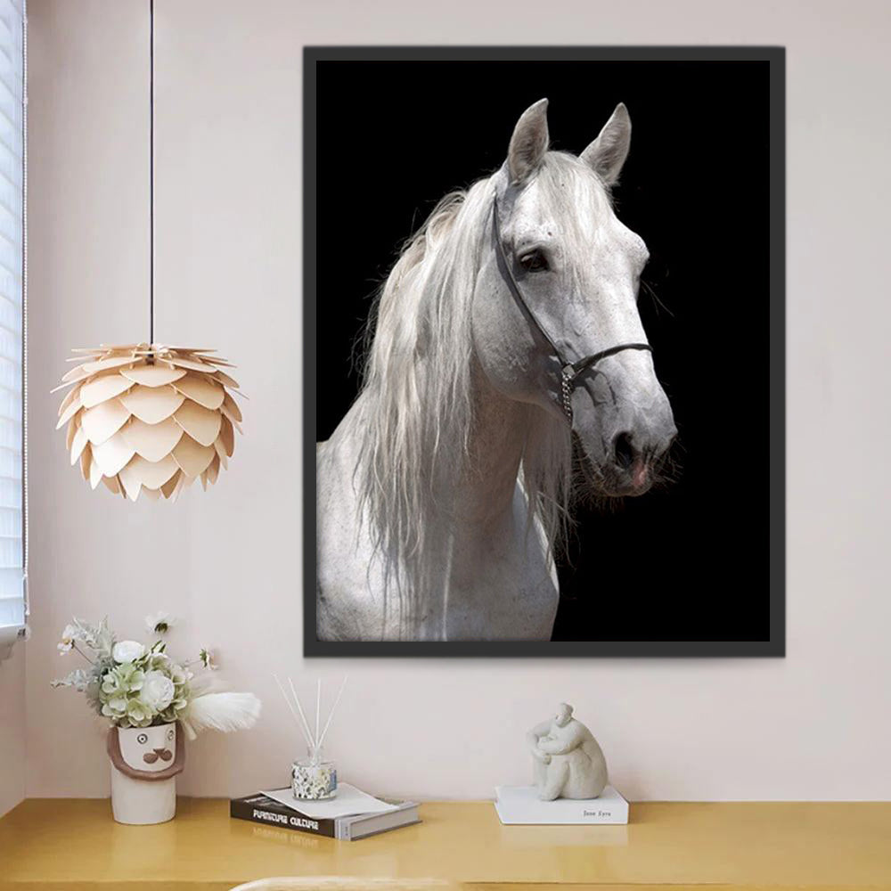 Animal Cheval Blanc Peinture par Numéros