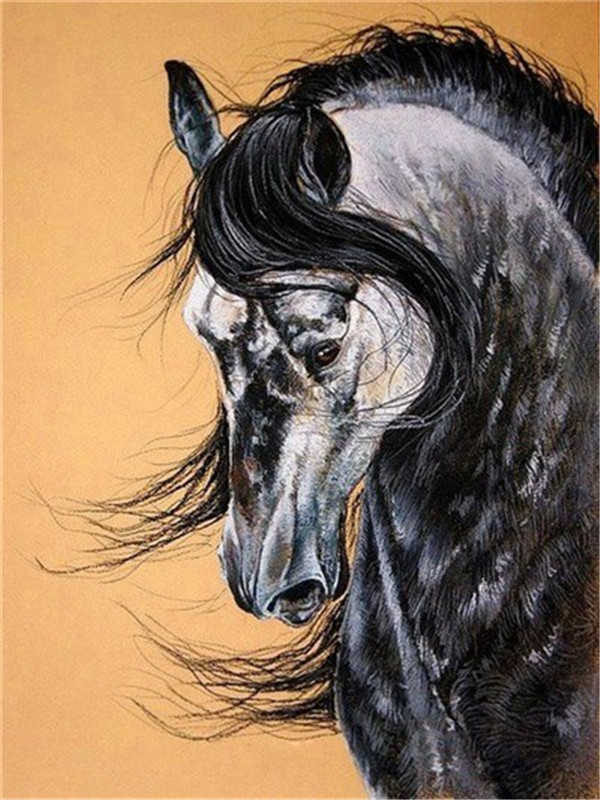 Animal Cheval Gris Peinture par Numéros