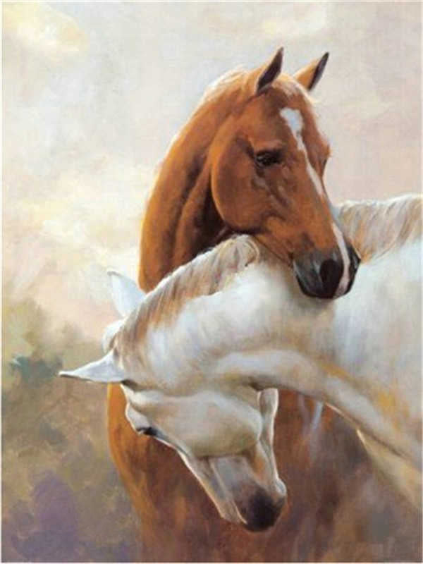Animal Chevaux Blottis Peinture par Numéros