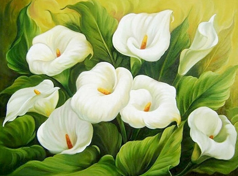 Anthurium andraeanum Peinture par Numéros