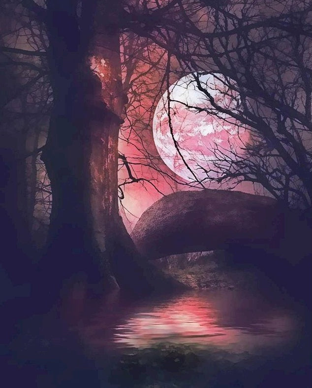 Arbre au Clair de Lune Peinture par Numéros