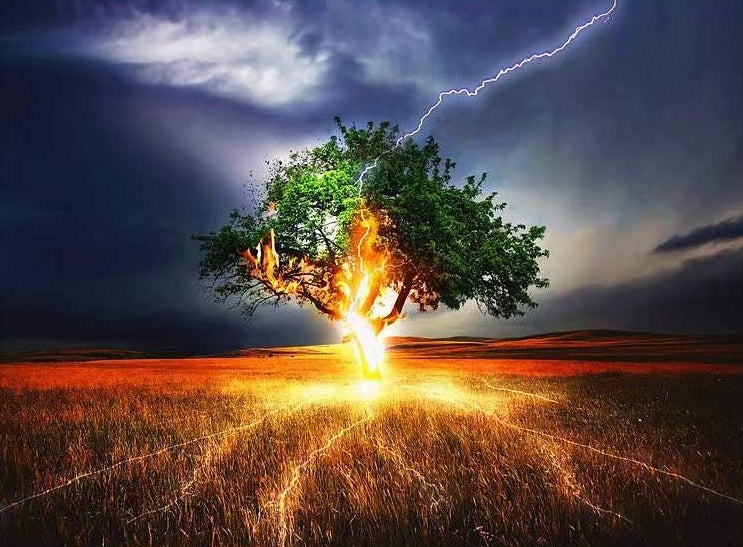 Arbre d'Energie Peinture par Numéros