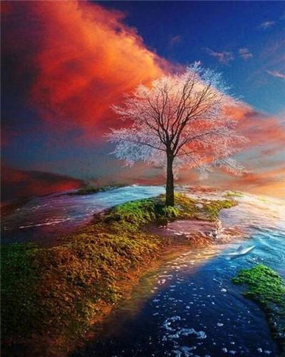 Arbre et Paysage Coloré Peinture par Numéros