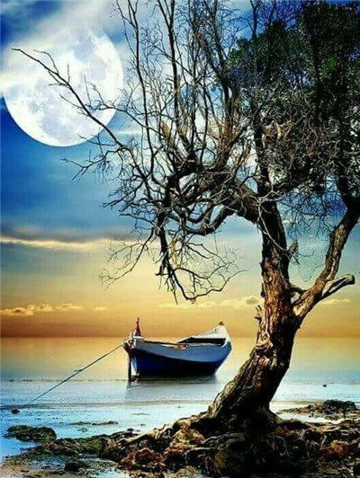 Arbre Mort et Bateau Peinture par Numéros