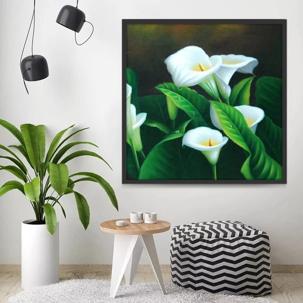 Arum d’Éthiopie Peinture par Numéros