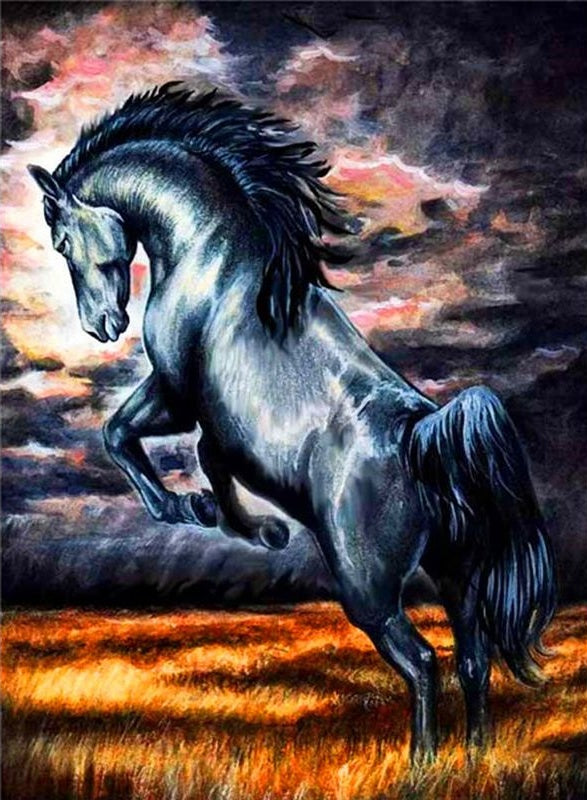 Beau Cheval Noir Peinture par Numéros