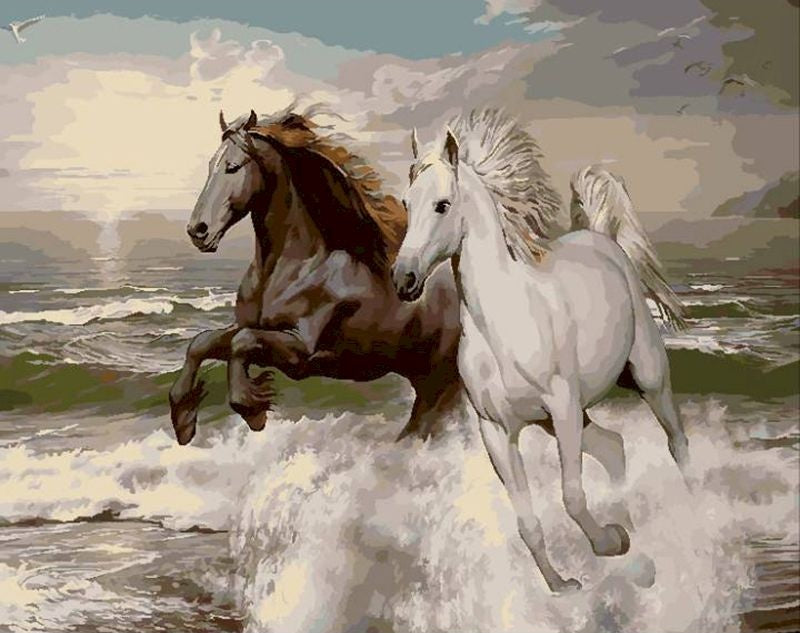 Beau Couple de Chevaux Peinture par Numéros