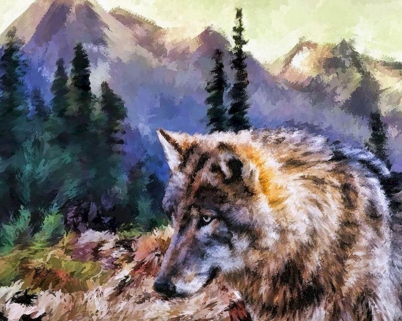 Beau Loup Solitaire Peinture par Numéros