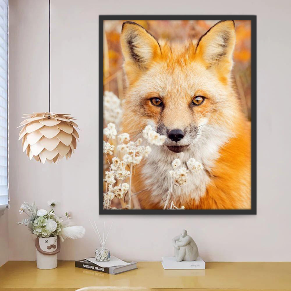 Beau Renard et Petites Fleurs Blanches Peinture par Numéros