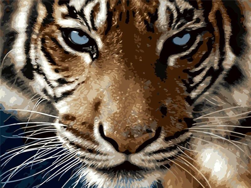 Beau Tigre aux Yeux Bleus Peinture par Numéros