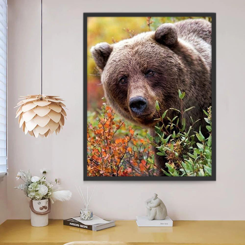 Bel Ours Brun Peinture par Numéros