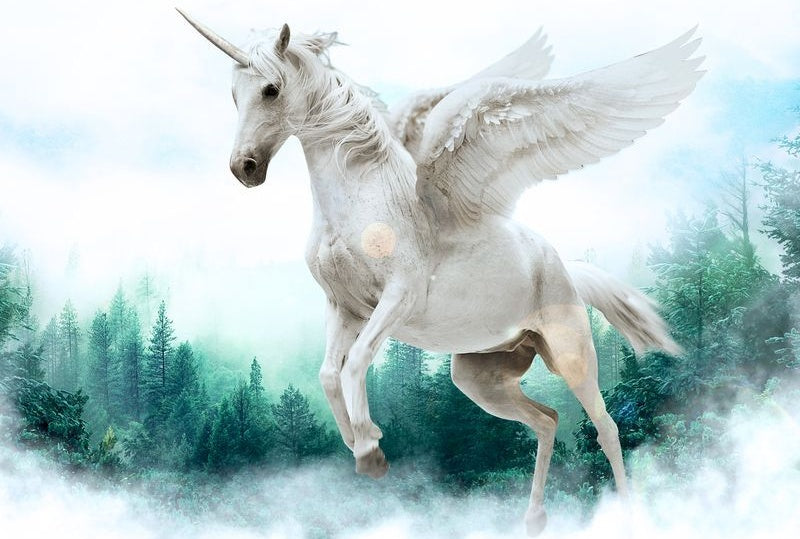 Belle Licorne Blanche Volant Peinture par Numéros