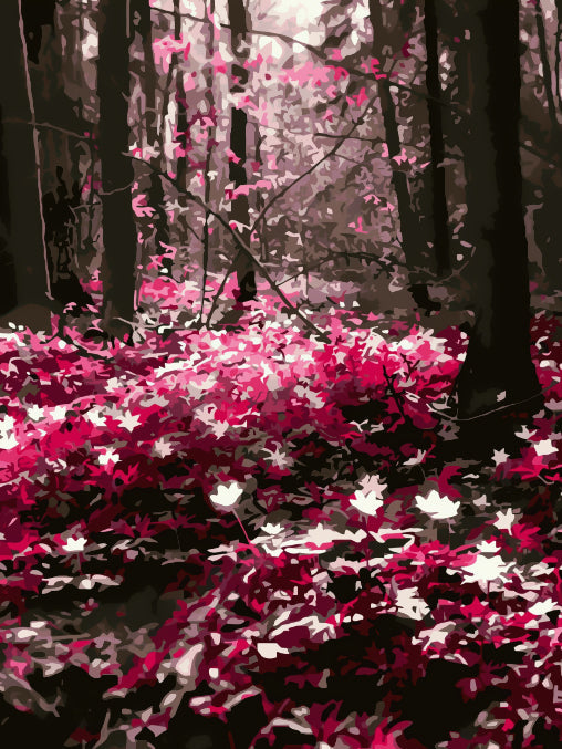 Belles Fleurs dans le Forêt Peinture par Numéros