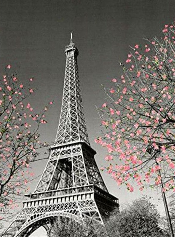 Belles Fleurs et Eiffel Peinture par Numéros