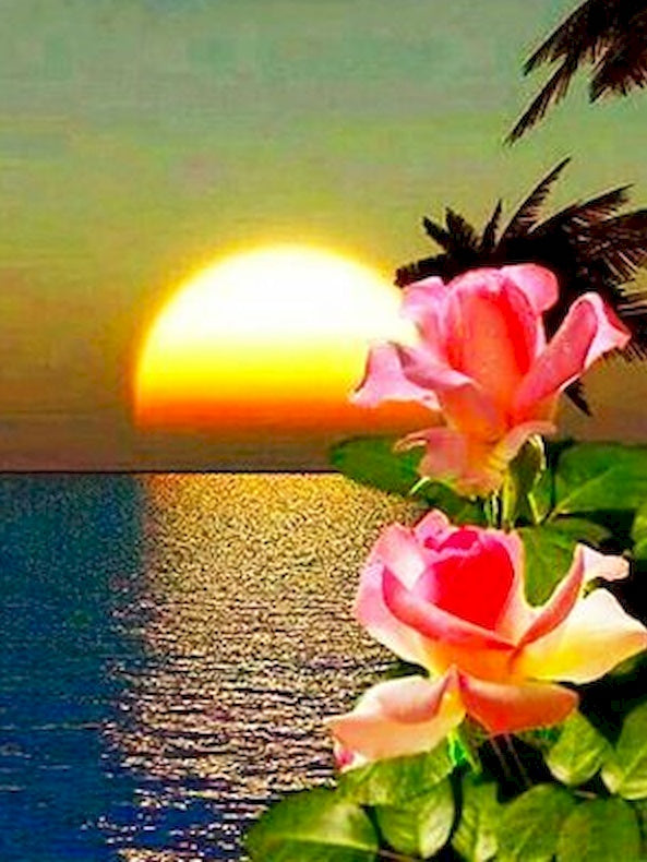 Belles Roses et Soleil Peinture par Numéros