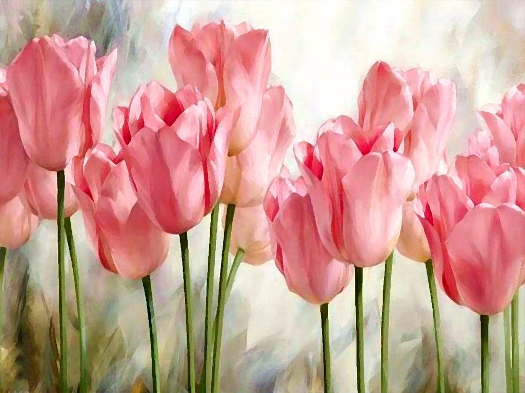Belles Tulipes Fleur Peinture par Numéros