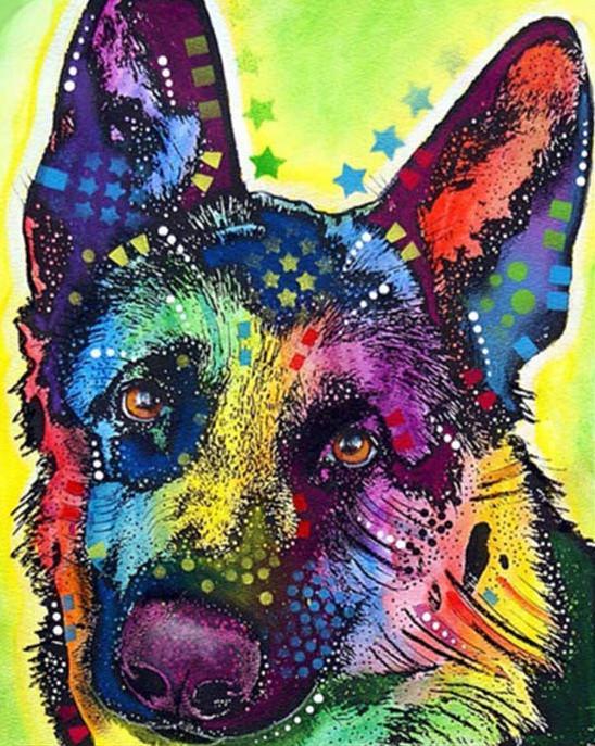 Berger Allemand Coloré Peinture par Numéros