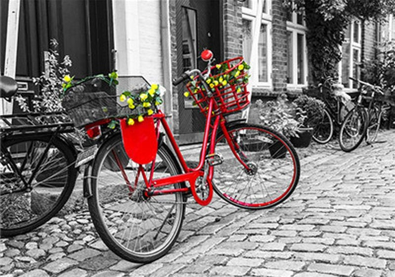 Bicyclette Rouge Peinture par Numéros