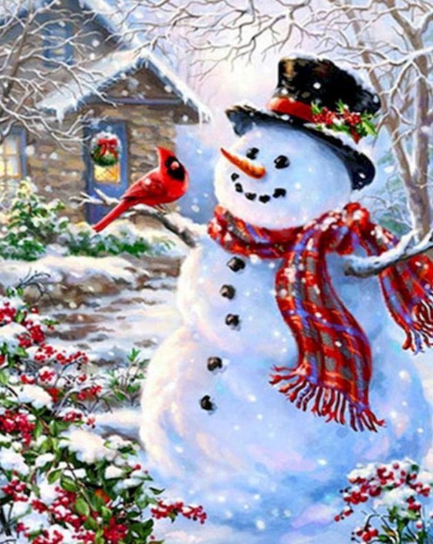 Bonhomme de Neige et Mésange Rouge Peinture par Numéros