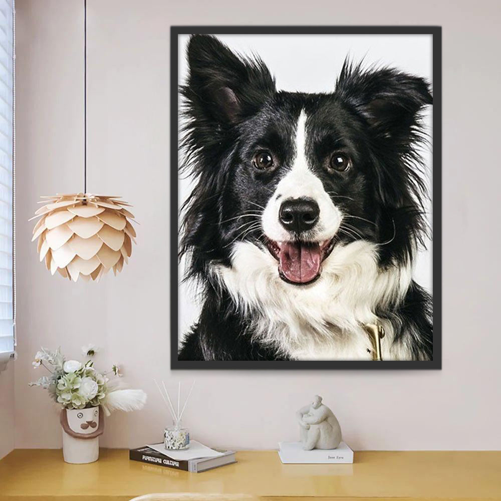 Border Collie Peinture par Numéros