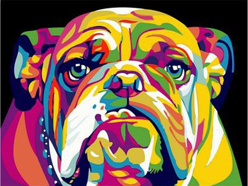Bouledogue Chien Coloré Peinture par Numéros
